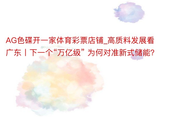 AG色碟开一家体育彩票店铺_高质料发展看广东丨下一个“万亿级” 为何对准新式储能？