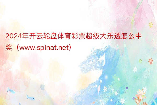 2024年开云轮盘体育彩票超级大乐透怎么中奖（www.spinat.net）