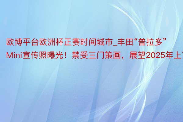 欧博平台欧洲杯正赛时间城市_丰田“普拉多”Mini宣传照曝光！禁受三门策画，展望2025年上市