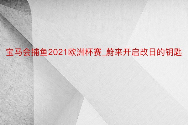 宝马会捕鱼2021欧洲杯赛_蔚来开启改日的钥匙